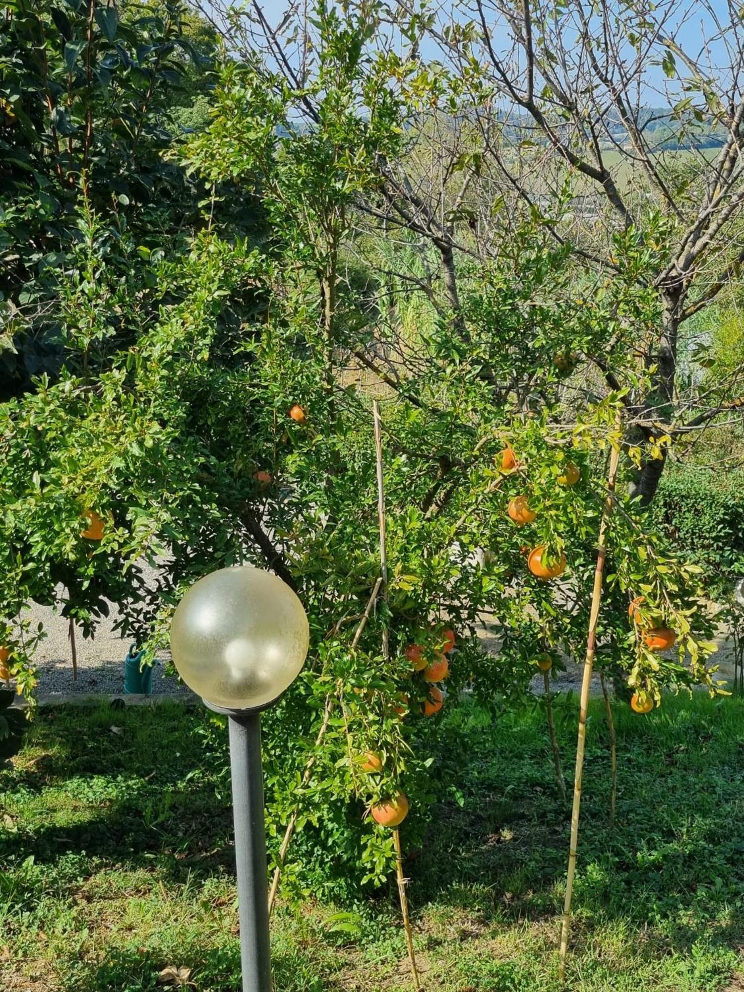 Casa Imola Apartment Poggibonsi Bagian luar foto